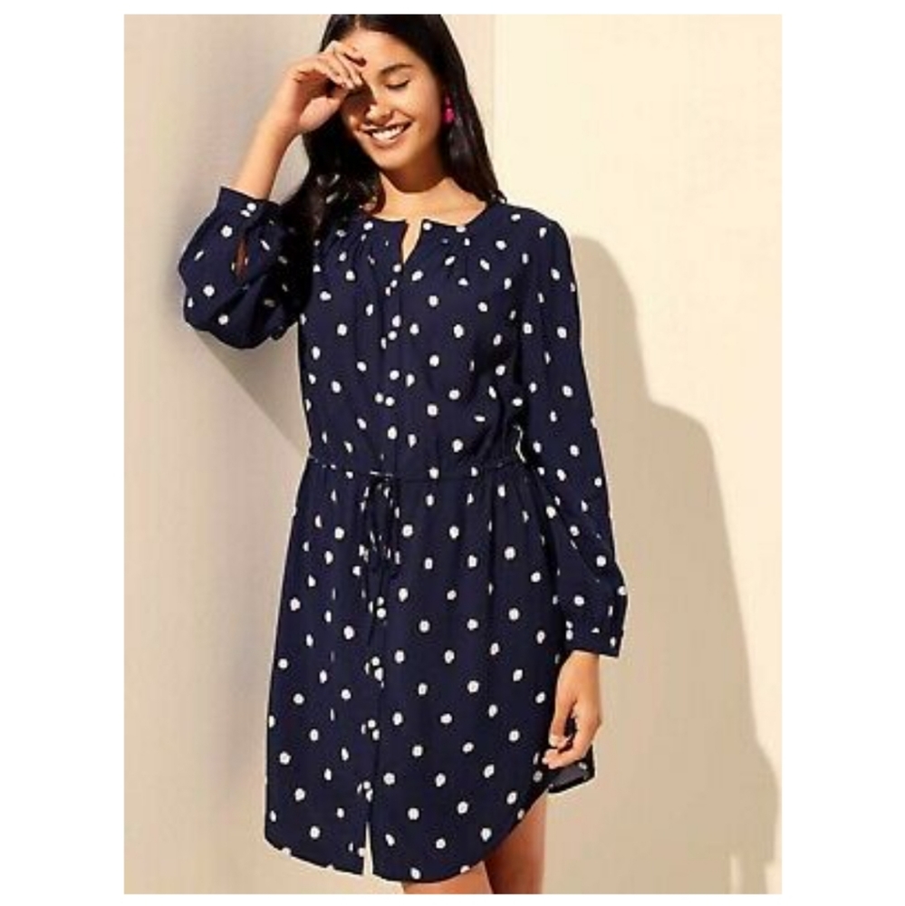 LOFT ikat dot shirt dress